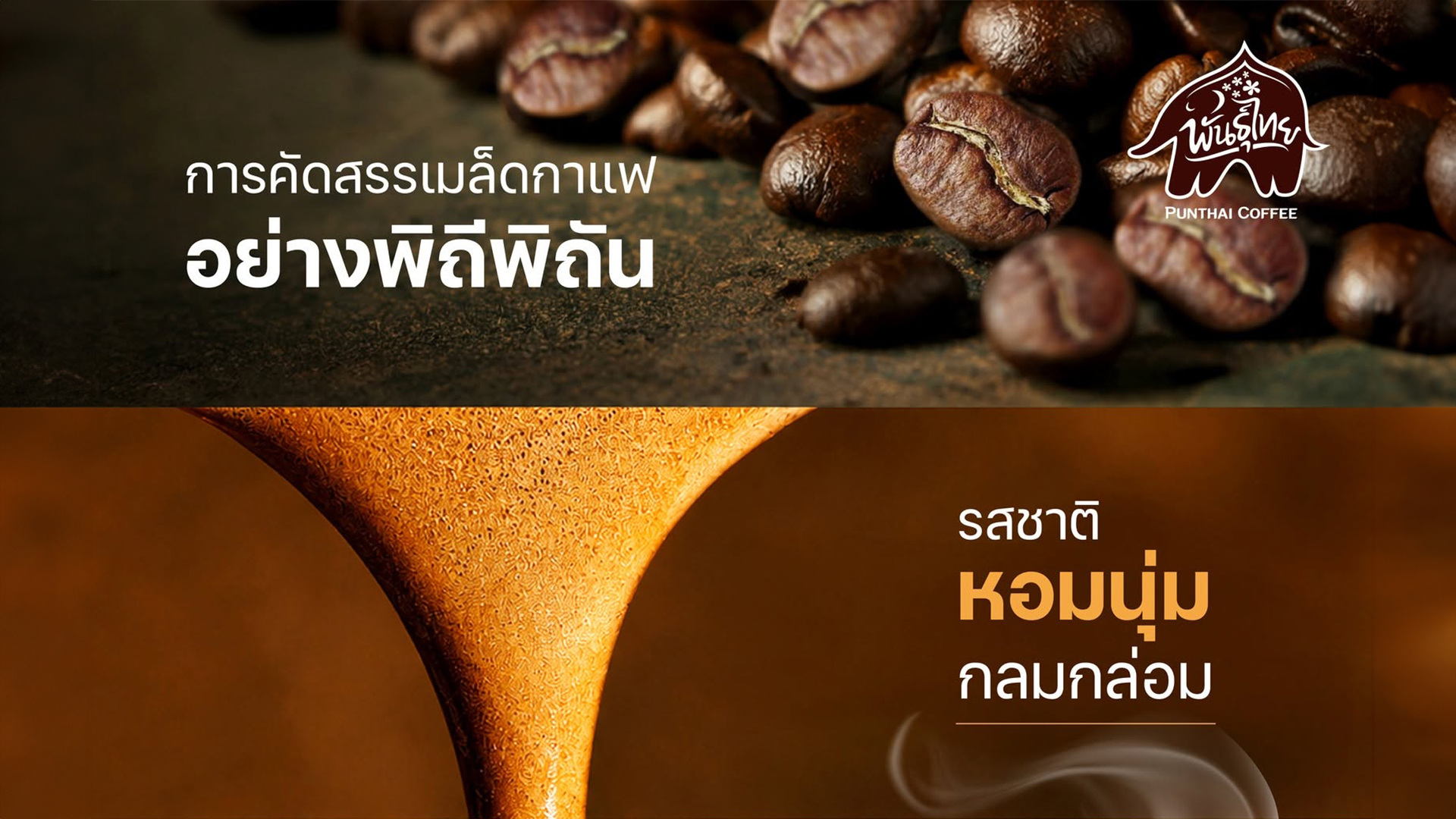 เมล็ดกาแฟ.jpg