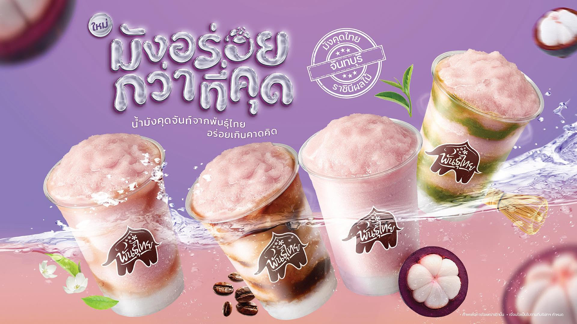 เมนูมังคุดพันธุ์ไทย.jpg