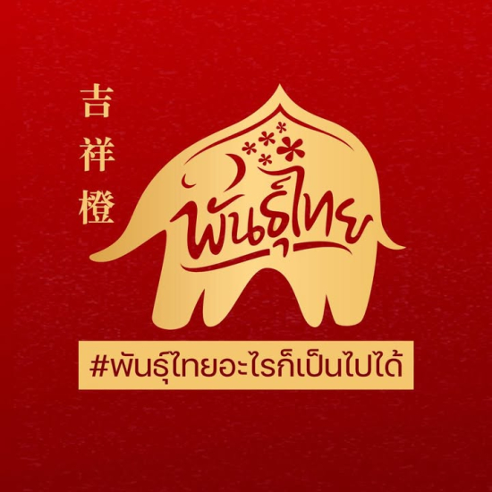 625113926_1411831420742475_1084207577497190923_n