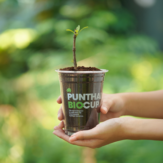 431635537_899660365292919_8449988518200691066_n