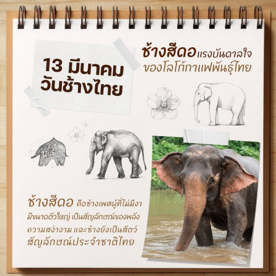 650784017_1441284231130527_4913525443578787064_n